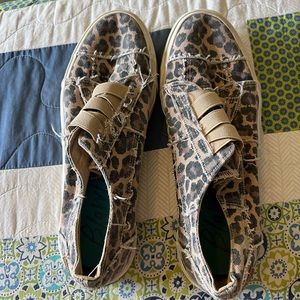 Elastic laced blowfish